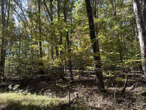 Lot 1215 Iron Gate Drive, Baneberry, TN 37890