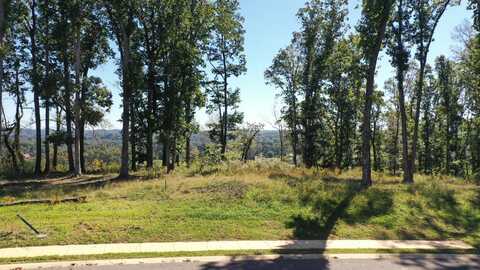 Lot 255 Ridgeline Court, Morristown, TN 37814