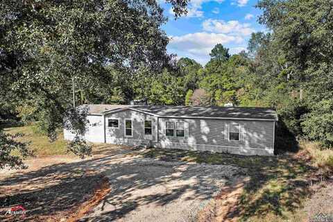 8876 N CR 136, Overton, TX 75684