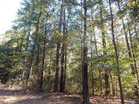 Tbd JOHNSON RD, Gilmer, TX 75645