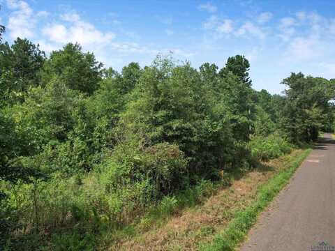 Tbd Lilac Ln., Gilmer, TX 75645