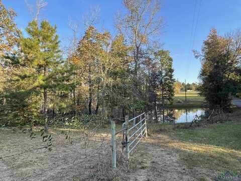 Tbd N SEGO LILY RD., Diana, TX 75641