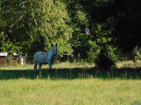 Tbd CHEROKEE TR, Gilmer, TX 75644