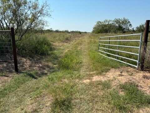 0 County Rd, Concepcion, TX 78349