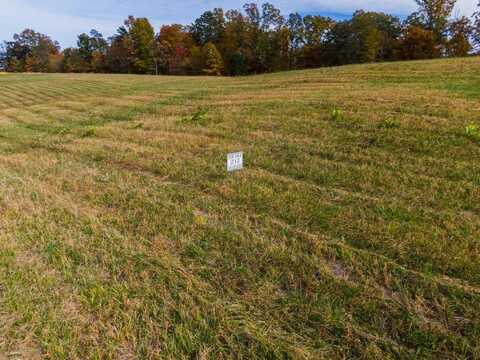 Lot 31 Spring Branch Hollow Road, Nancy, KY 42544