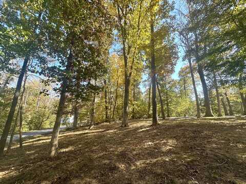 Lot Towering Hills MH SUB, Nancy, KY 42544