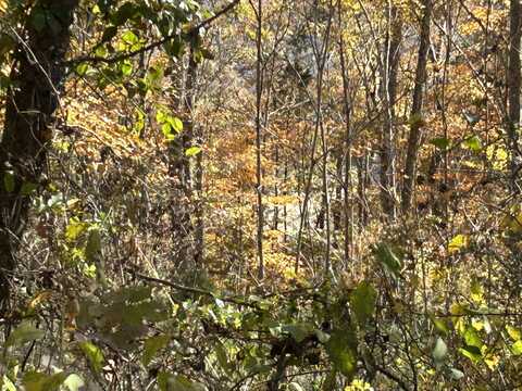 Buck Creek Circle lot: # 36, Somerset, KY 42501