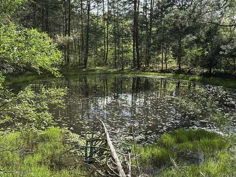 000 Flynn Road, Bronston, KY 42518