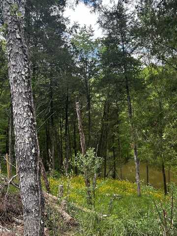 Lot Trailwood Lake Road, Bagdad, KY 40003