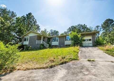 101 NATHANIEL DRIVE, PIEDMONT, AL 36272