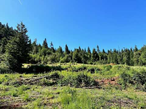 780 Tunnel Rd., Glendale, OR 97442