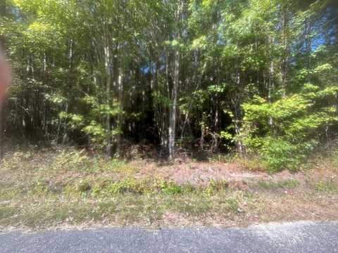 lot 245 Blundon Road, REEDVILLE, VA 22539