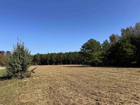 LOT 8 DAISY, Savannah, TN 38372