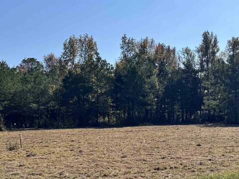 LOT 7 DAISY, Savannah, TN 38372