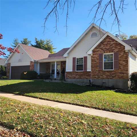 10 Rhinegarten Drive, Florissant, MO 63031