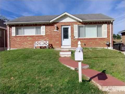 1127 Wilshire Avenue, University City, MO 63130