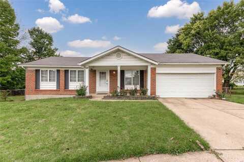 15686 93rd Avenue, Florissant, MO 63034