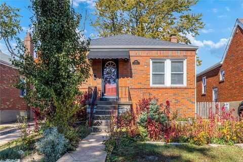 7015 Plainview Avenue, Saint Louis, MO 63109