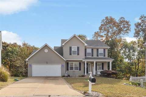 10 Amber Ridge Court, High Ridge, MO 63049