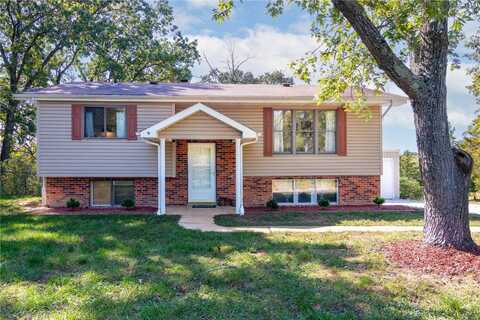 7815 Hillsboro House Springs Road, Hillsboro, MO 63050