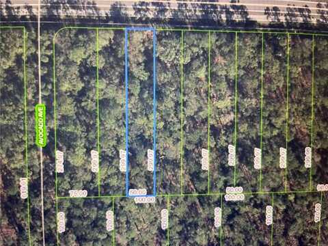 2651 Hammock Rd, Sebring, FL 33872