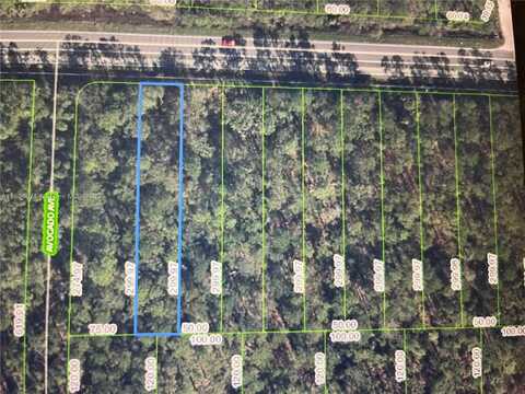 2667 Hammock Rd, Sebring, FL 33872