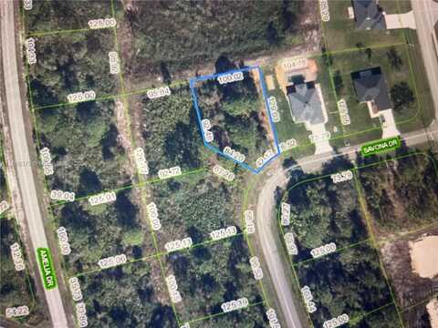 5539 Savona Dr., Sebring, FL 33872