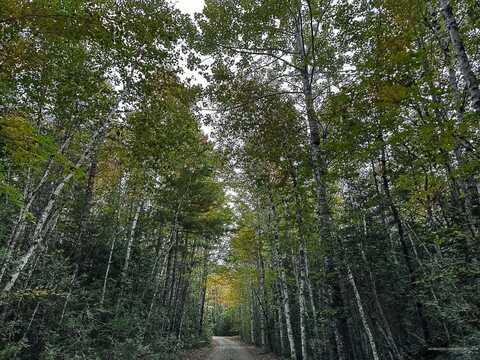 Lot #11-1 Carry Ridge Road, Northfield, ME 04686