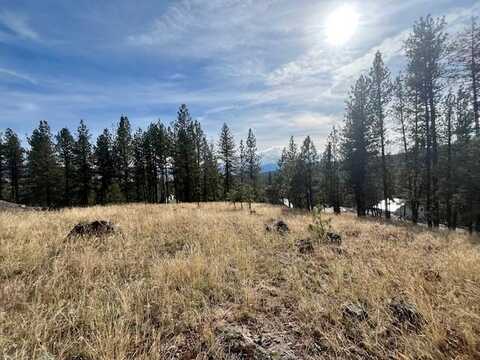 B2 L3 Syringa Drive, New Meadows, ID 83654