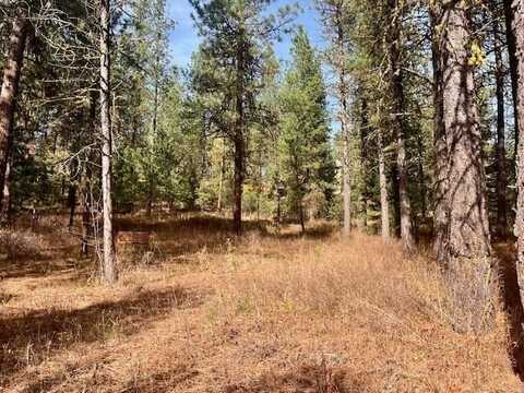 B1 L13 Lewis Drive, New Meadows, ID 83654