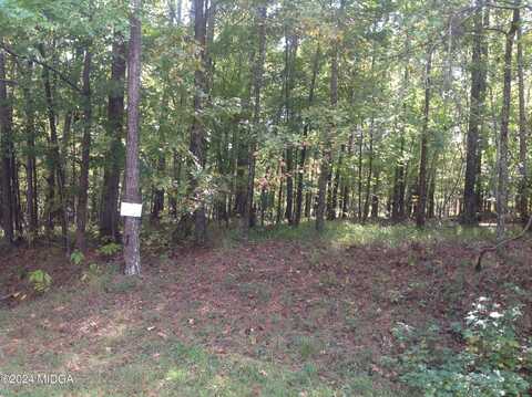 Lot A & B Pineview Road, Gray, GA 31032