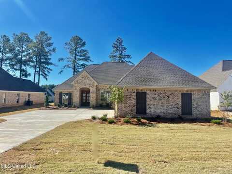 354 Wellstone Place, Madison, MS 39110