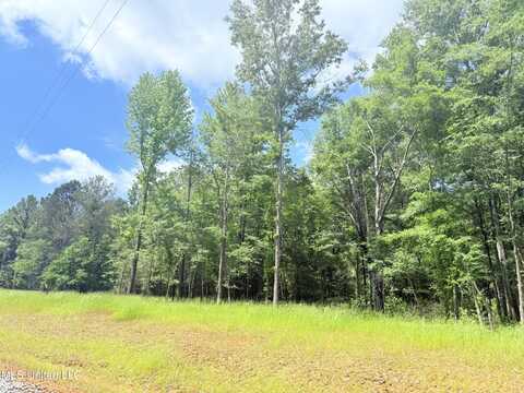 Stout Meadows Lane, Madison, MS 39110