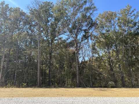 Stout Meadows Lane, Madison, MS 39110