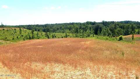 211 Hugh White State Park Road, Grenada, MS 38901