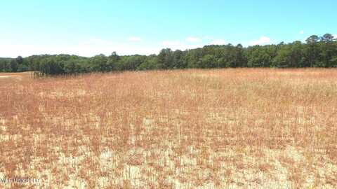 612a Hugh White State Park Road, Grenada, MS 38901