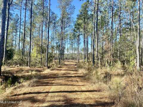 141 Deep Creek Road, Wiggins, MS 39577