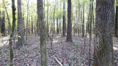 20 Ac. 9 Highway, Bruce, MS 38915