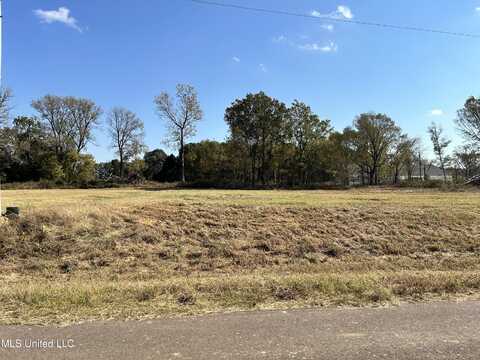 8 Hazelwood Drive, Lake Cormorant, MS 38641