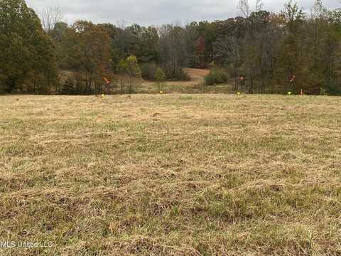 516 Arkabutla Dam Road, Coldwater, MS 38618