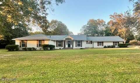 206 Lewis Street, Florence, MS 39073