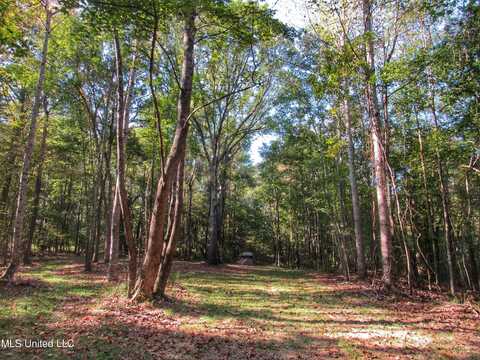 Anding Oil City Road, Bentonia, MS 39040