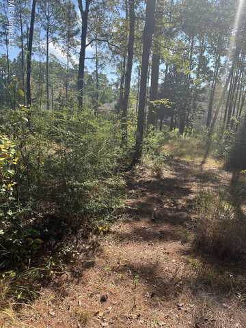 Lot 79&80 Windward Drive, Gautier, MS 39553