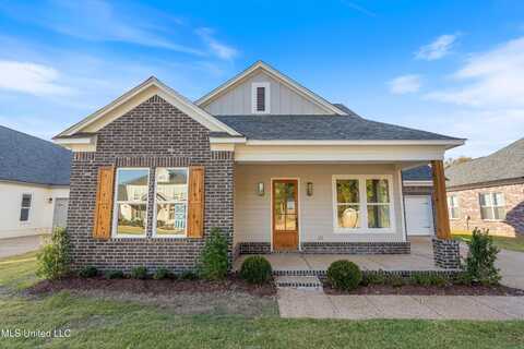 3847 Swan Cove, Hernando, MS 38632