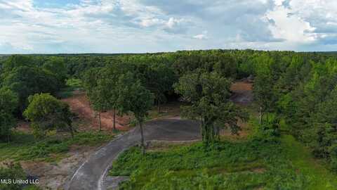 7 Tyro Branch Cove, Senatobia, MS 38668