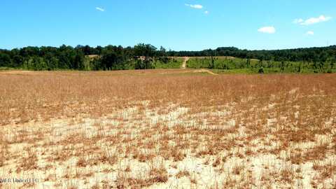 210 Hugh White State Park Road, Grenada, MS 38901