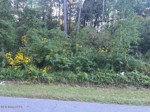 Lot 21 Elm Avenue, Ocean Springs, MS 39564