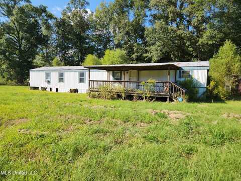 118 Meadow Woods, Florence, MS 39073