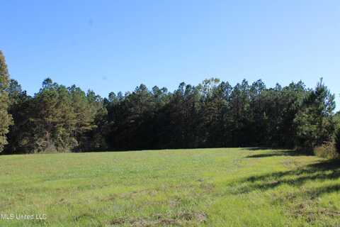 1507 Lower Gurley Road, Potts Camp, MS 38659