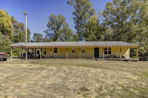 250 Hilderbrand Road, Bentonia, MS 39040